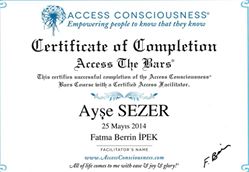 ACCES BARS SERTİFİKA 2