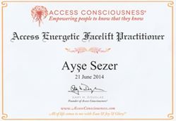 ACCES SERTİFİKA 1