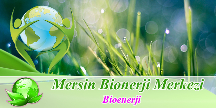 bioenerji